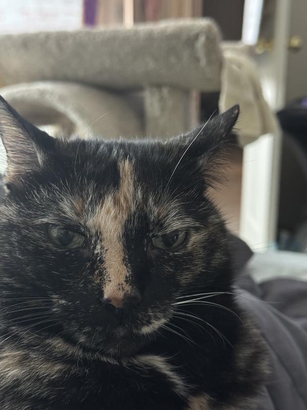 Sadie gives this 5 stars!!!