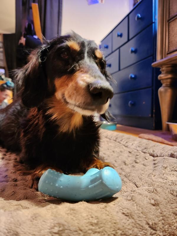 Our handsome tester!