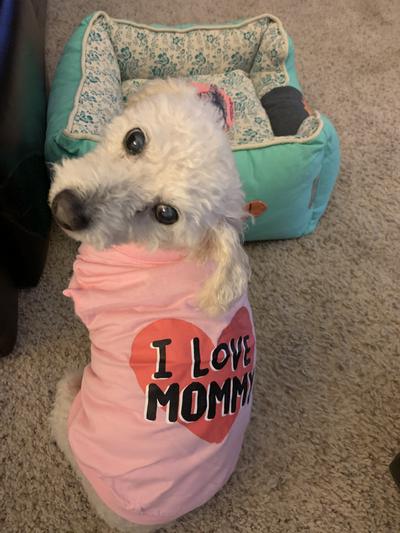 Peggy Sue loves her tee