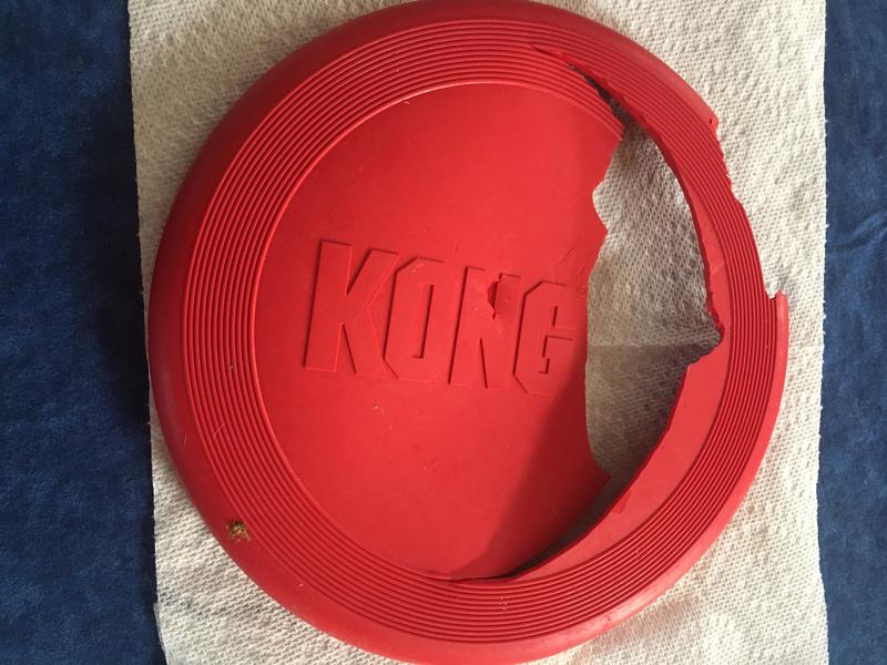 KONG Classic Flyer Dog Toy, Small 