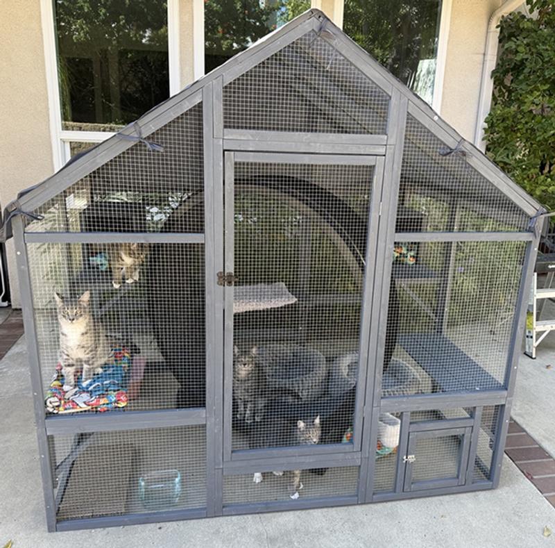 awesome catio awesome price