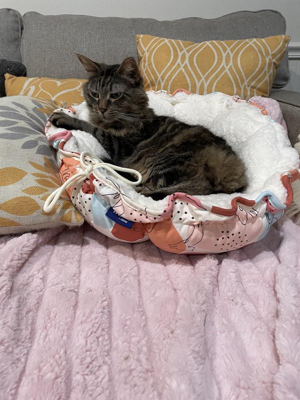 First time I saw her in her new bed.