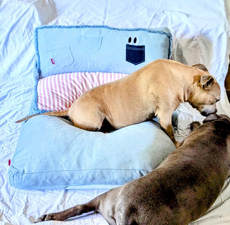 Cute little couch when propped up