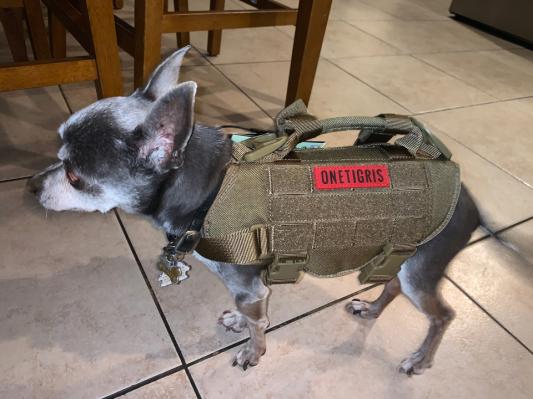 ONETIGRIS Beast Mojo Nylon Tactical Dog Harness, Coyote Brown, X