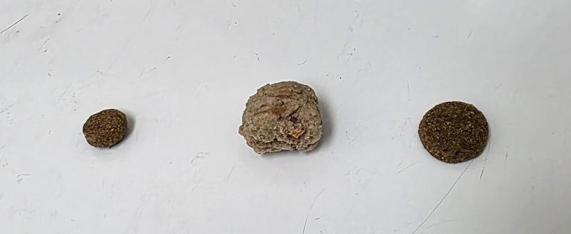 For size comparison next to small and large kibble. Blue Buffalo Love Made Fresh is in the middle. It is as described. Soft and tender.