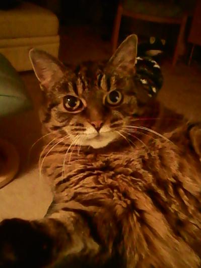 My seventeen year old  Baby!