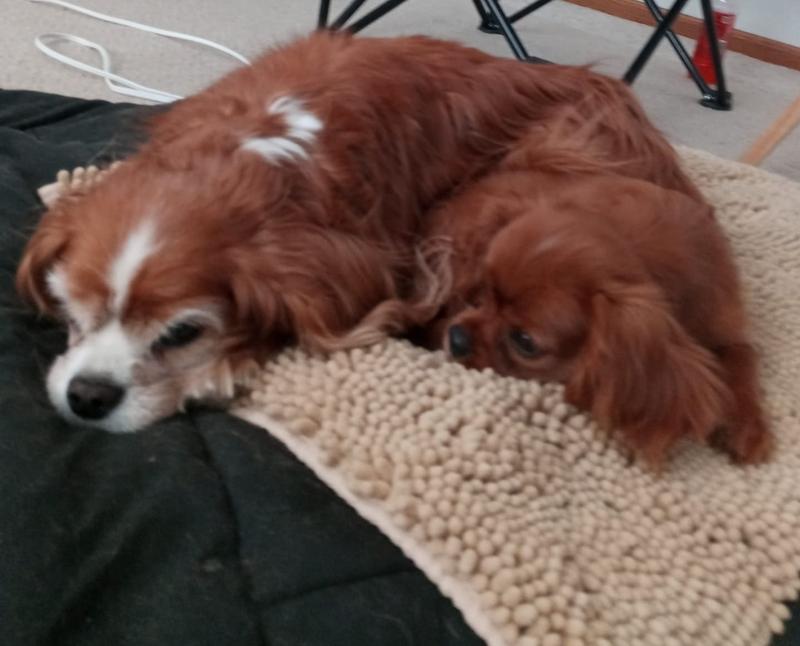 Bonnie with new puppy, Snoopy
