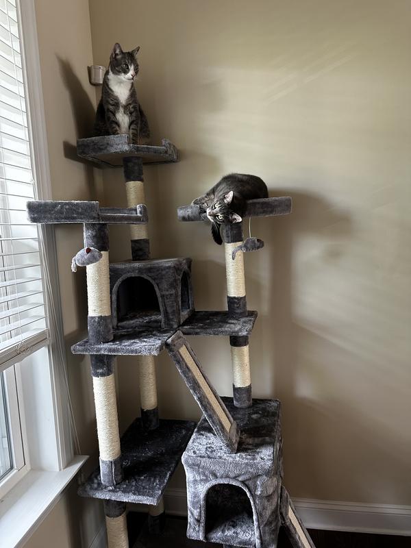 FRISCO 72-in Faux Fur Cat Tree & Condo, Cream - Chewy.com