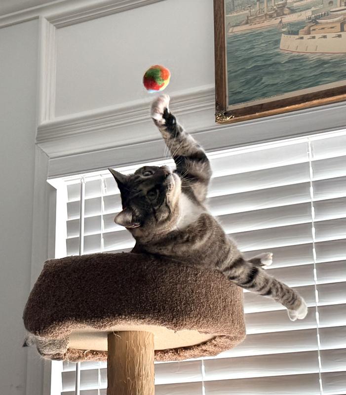 Catch & toss w/Steve.