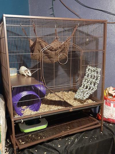 Discontinued PREVUE PET PRODUCTS Rat Chinchilla Critter Cage 31 in Chewy