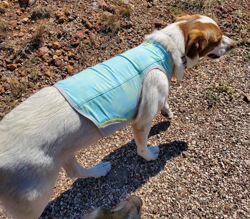 Discontinued - RUFFWEAR Swamp Cooler Zip Dog Vest, Blue Mist, X