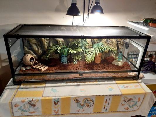 REPTI ZOO Glass Reptile Terrarium Sliding Doors with Screen Ventilation ...