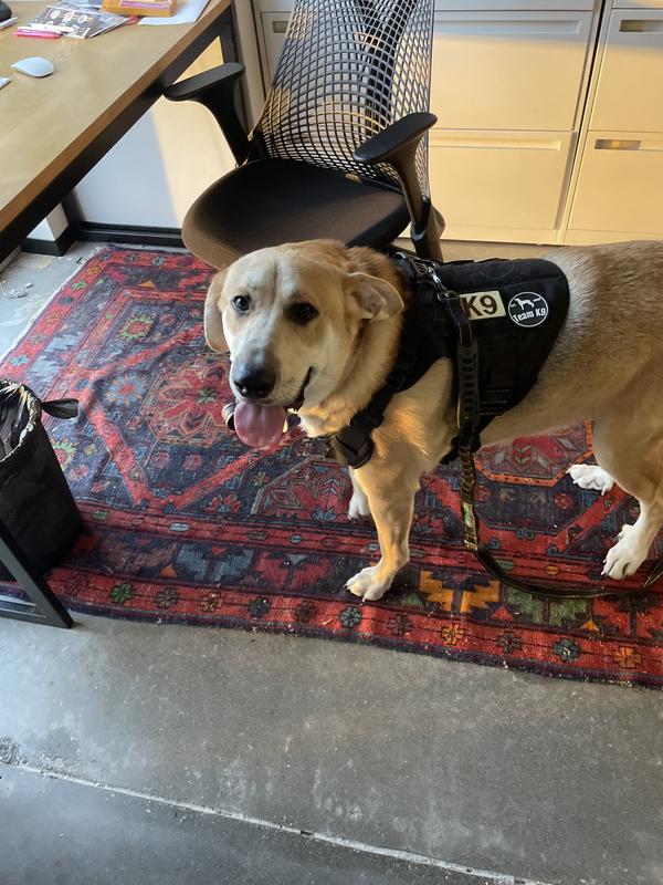 McGee goes to the office