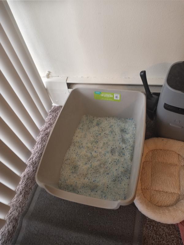 FRISCO High Sided Cat Litter Box, Extra Large, Navy, 24in