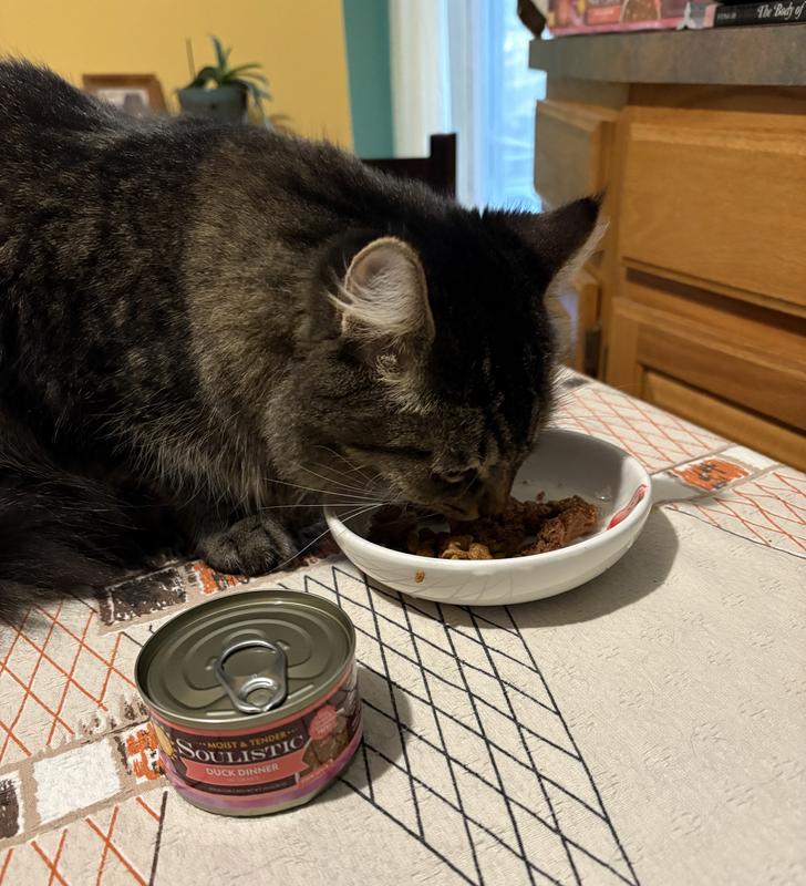 Karma having a delicious meal.