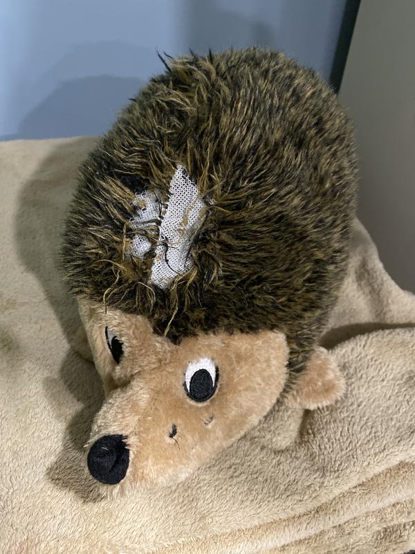 Grunting hedgehog dog toy shop