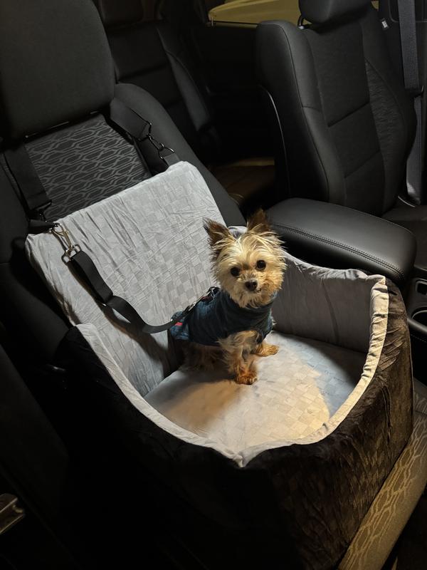 Gracie and her new car seat