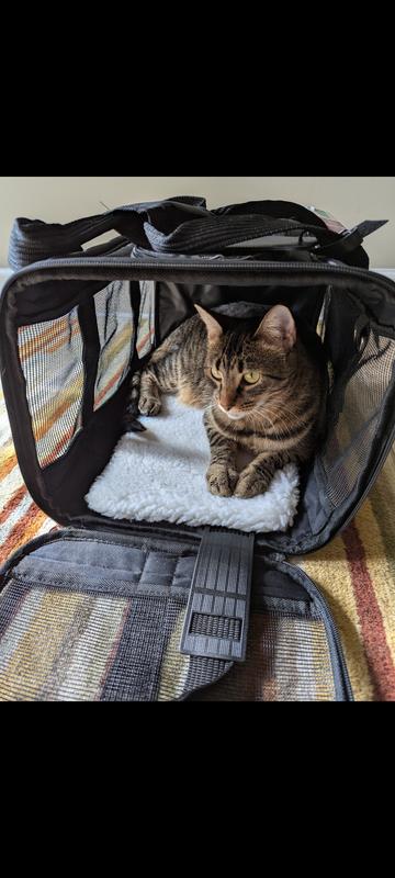 It's nice and warm in the sun!