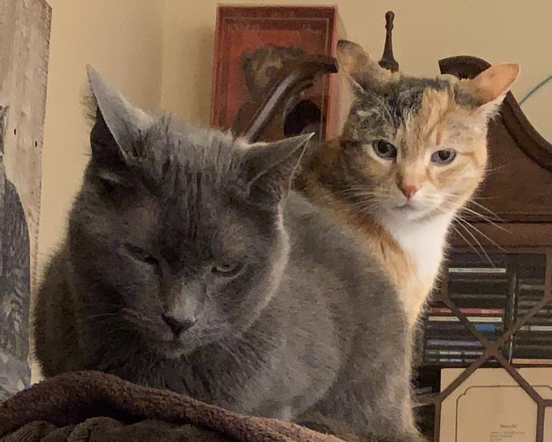 I thought you just used the box?