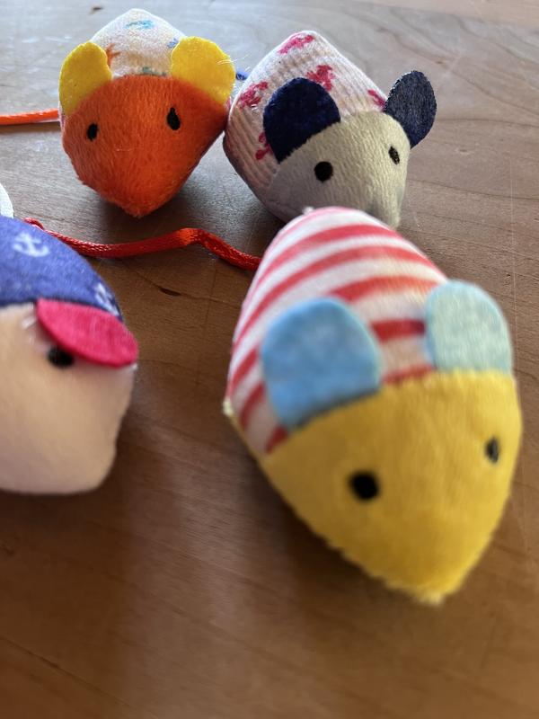 Mice Meeting in Progress