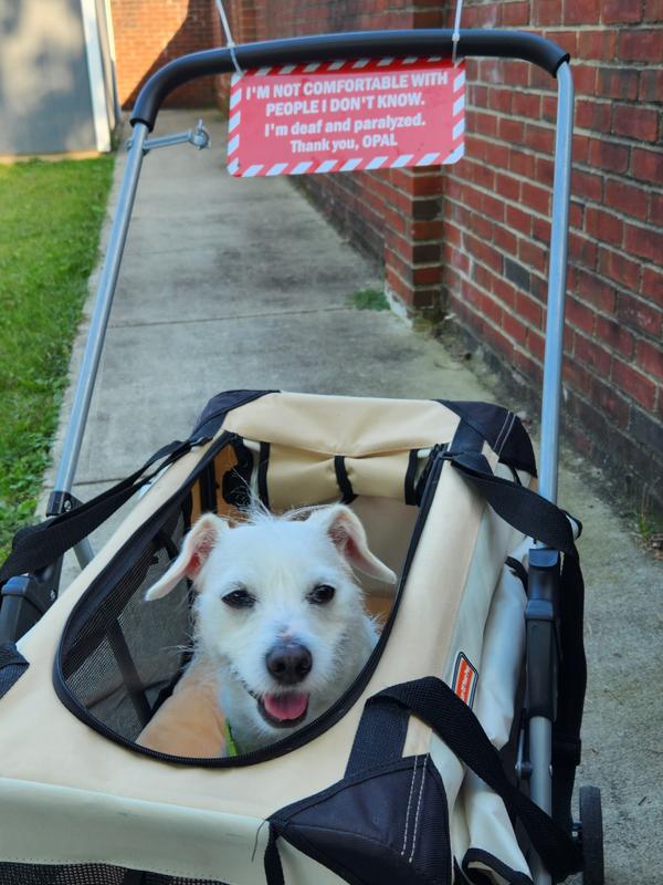 THUNDERSHIRT Polo Anxiety Vest for Dogs, Blue, XSmall