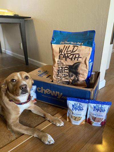 Happy pup with her Wild Earth treats and food!