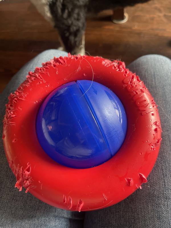 Kong Small Gyro Ball, Dog Toy – Anaheim Feed & Pet Supply