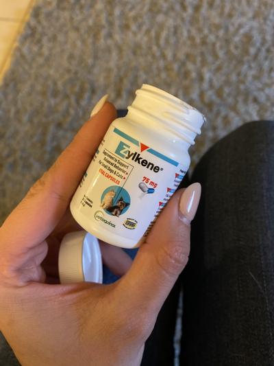 Zylkene for cats 75mg sale