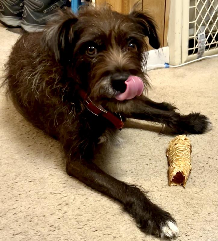 I think I might like this new chew!