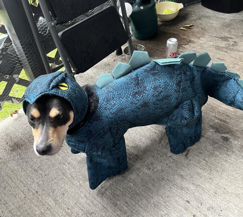 Dinosaur dog costume xxl best sale