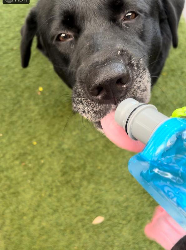 No problem getting water