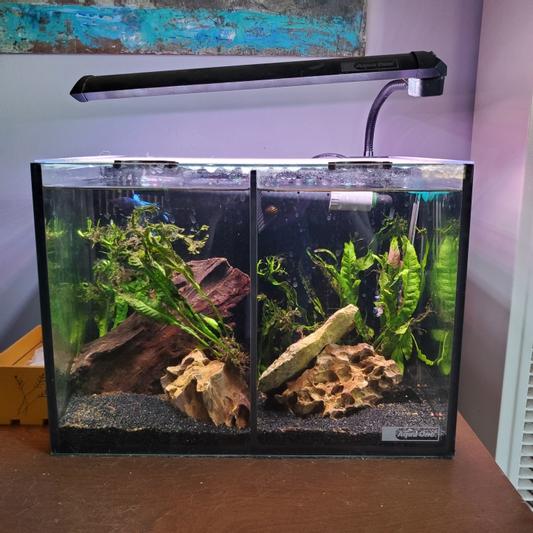 Aqua one betta duo sale