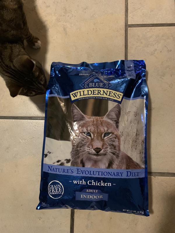 BLUE BUFFALO Wilderness Indoor Chicken Recipe Grain Free Dry Cat