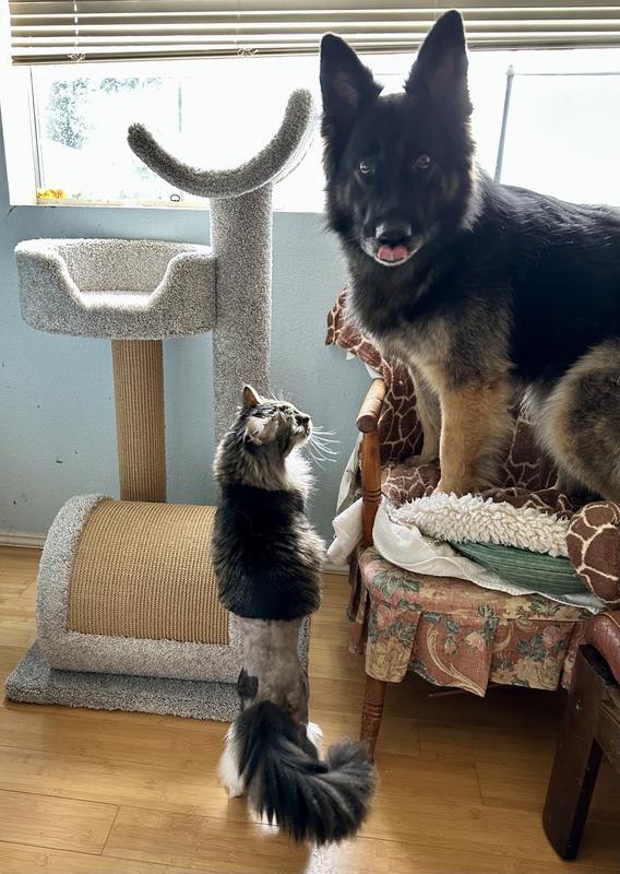 “Paws off, dawg!”