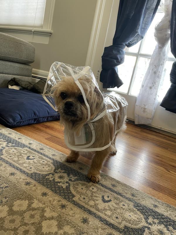 FRISCO Lightweight Clear Vinyl Dog Raincoat, XXLarge