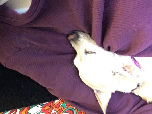 Loves her mama.