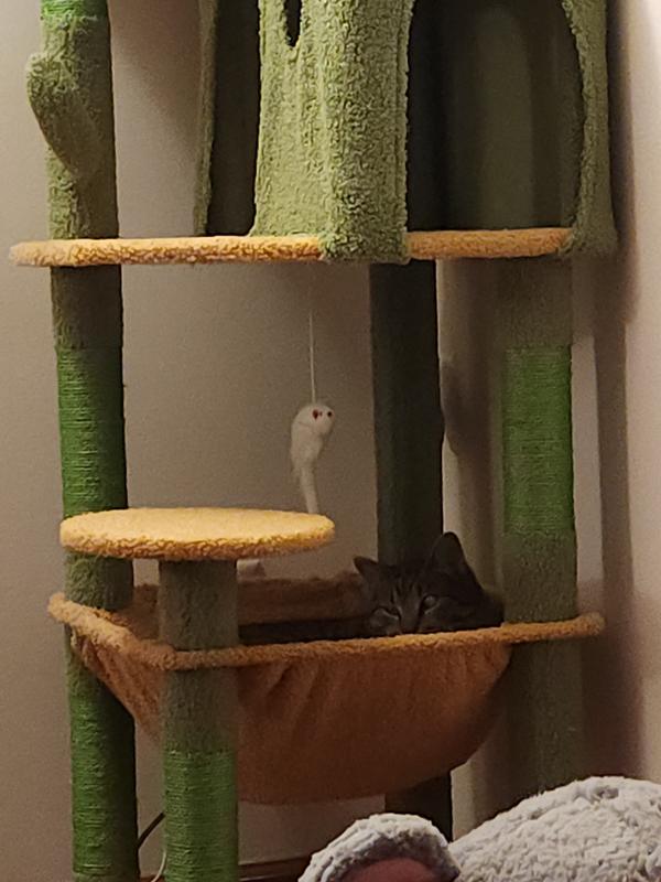 Globlazer F49 Cat Tower – 49 Inch Cat Tree With Hammock, Scratching Post, Condo & Perch, Light Grey