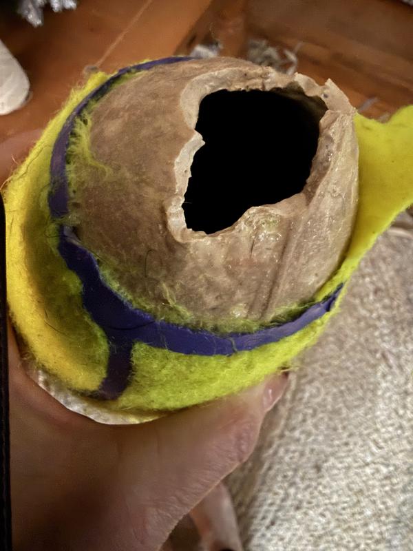 Easily chewed the rubber off