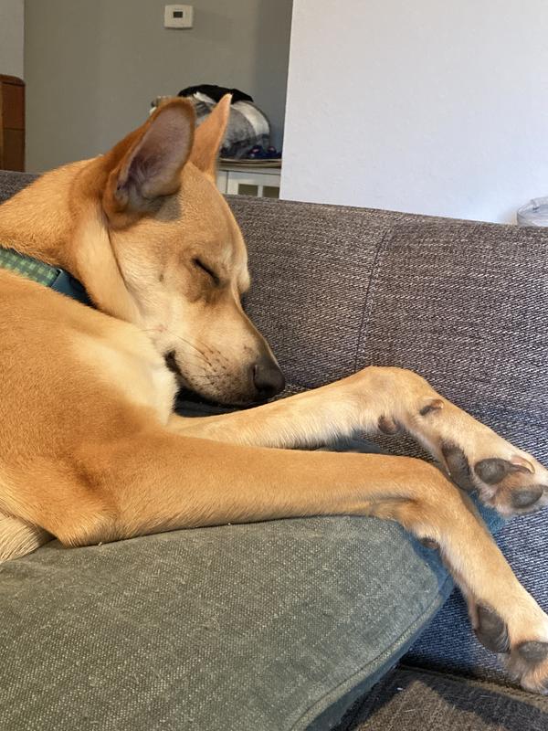 This big girl is a big baby!