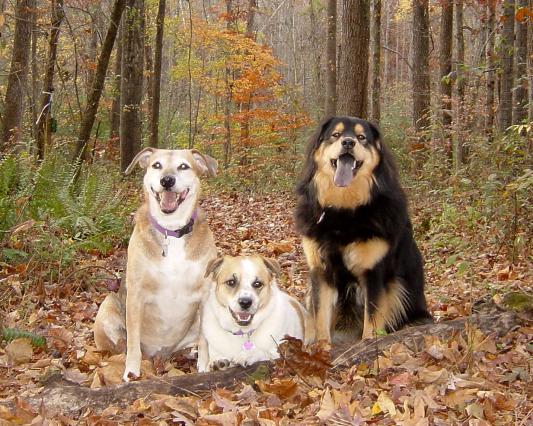 Maggie, Louise and Jenny. Maggie has passed away.