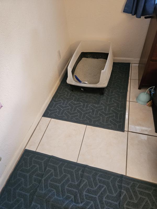 They are like they say BIG