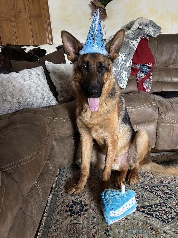 I love chewie treats