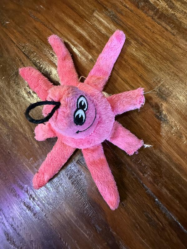 Garbage! Should not be sold by Chewy!