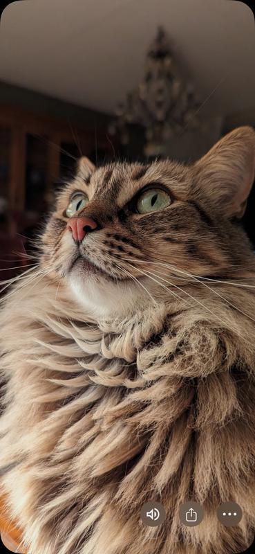 Thanks for my new food, mom!