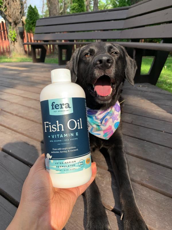 Fish Oil – Fera Pet Organics