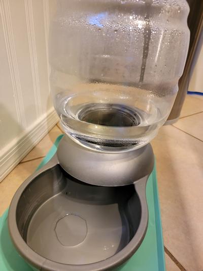 Petsmart mason discount jar water bowl