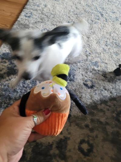 Disney Goofy Cupcake Plush Squeaky Dog Toy