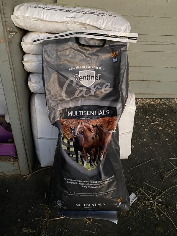 This is the bag as I received it.