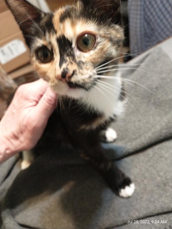 Suzie