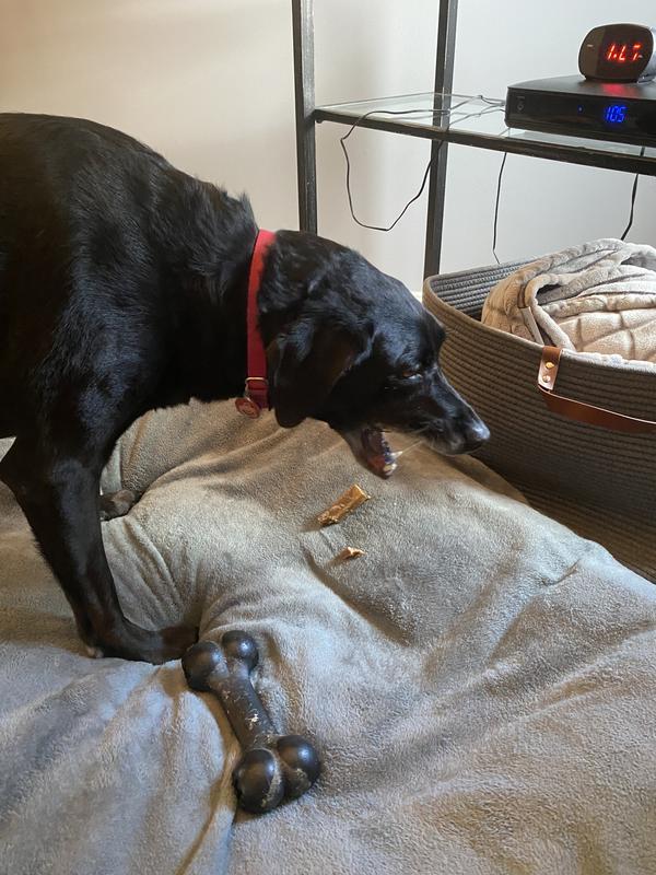 Eating it in her bed